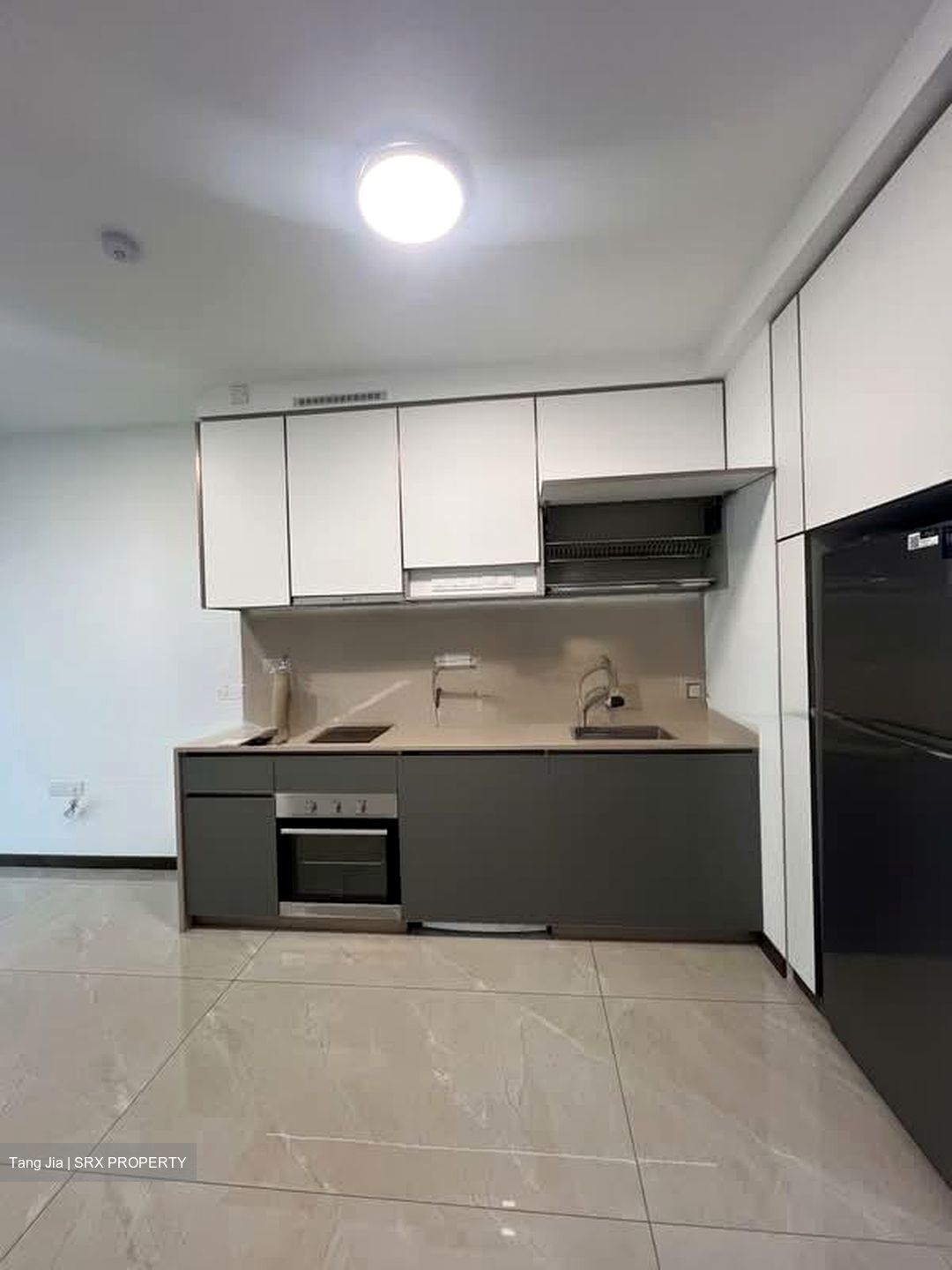Normanton Park (D5), Apartment #575619841